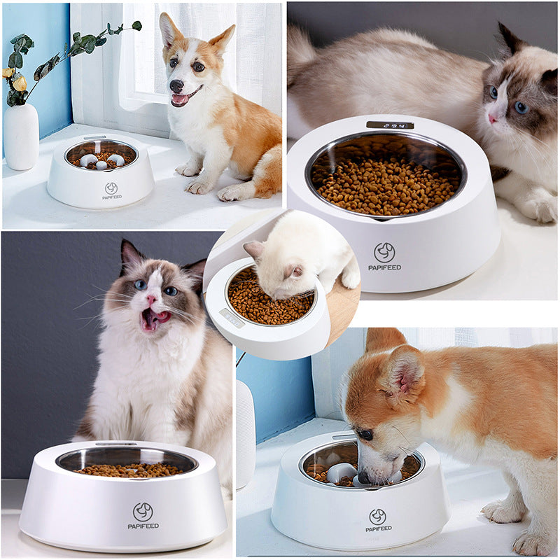 PetHydraLife smart portion feeder bowl with digital weighing display - alternate product view 4